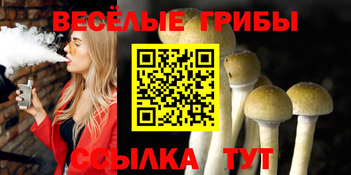 Псилоцибиновые грибы мицелий Сочи